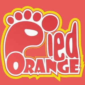 Pied Orange